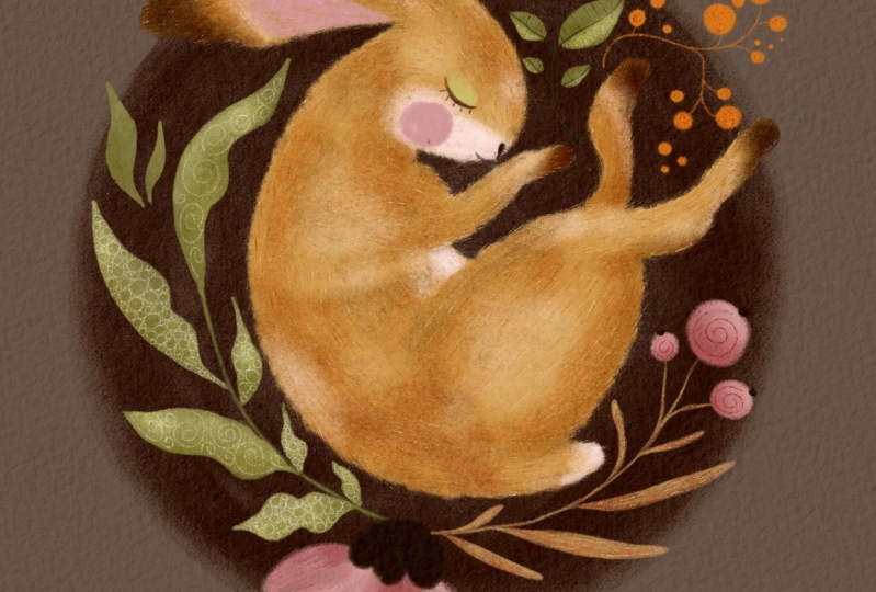 My sleeping bunny rabbit