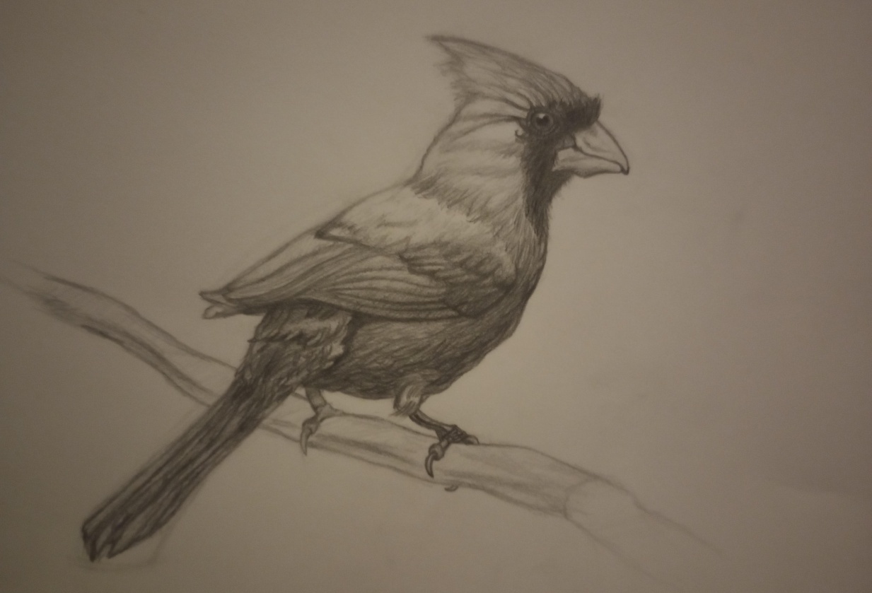 Cardinal & Botanical