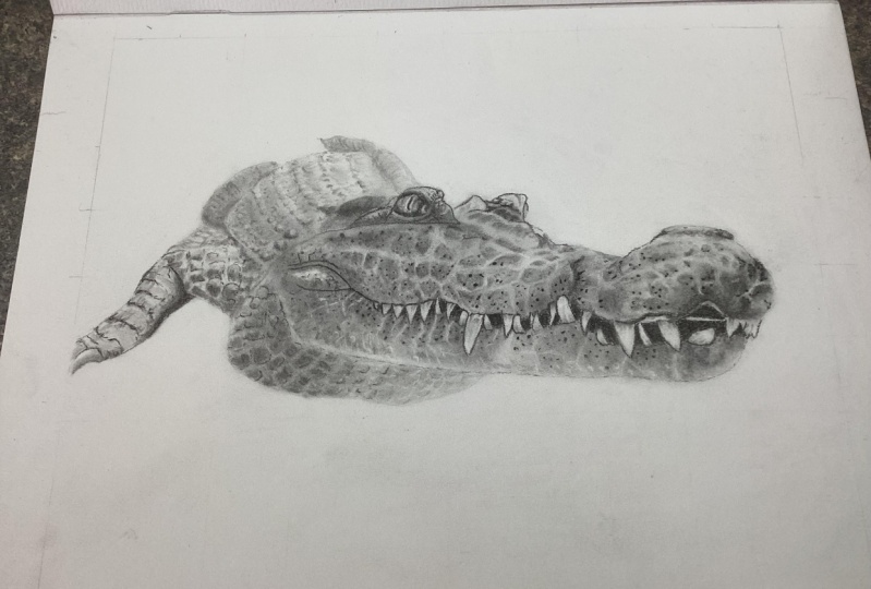 Mastering charcoal part 2