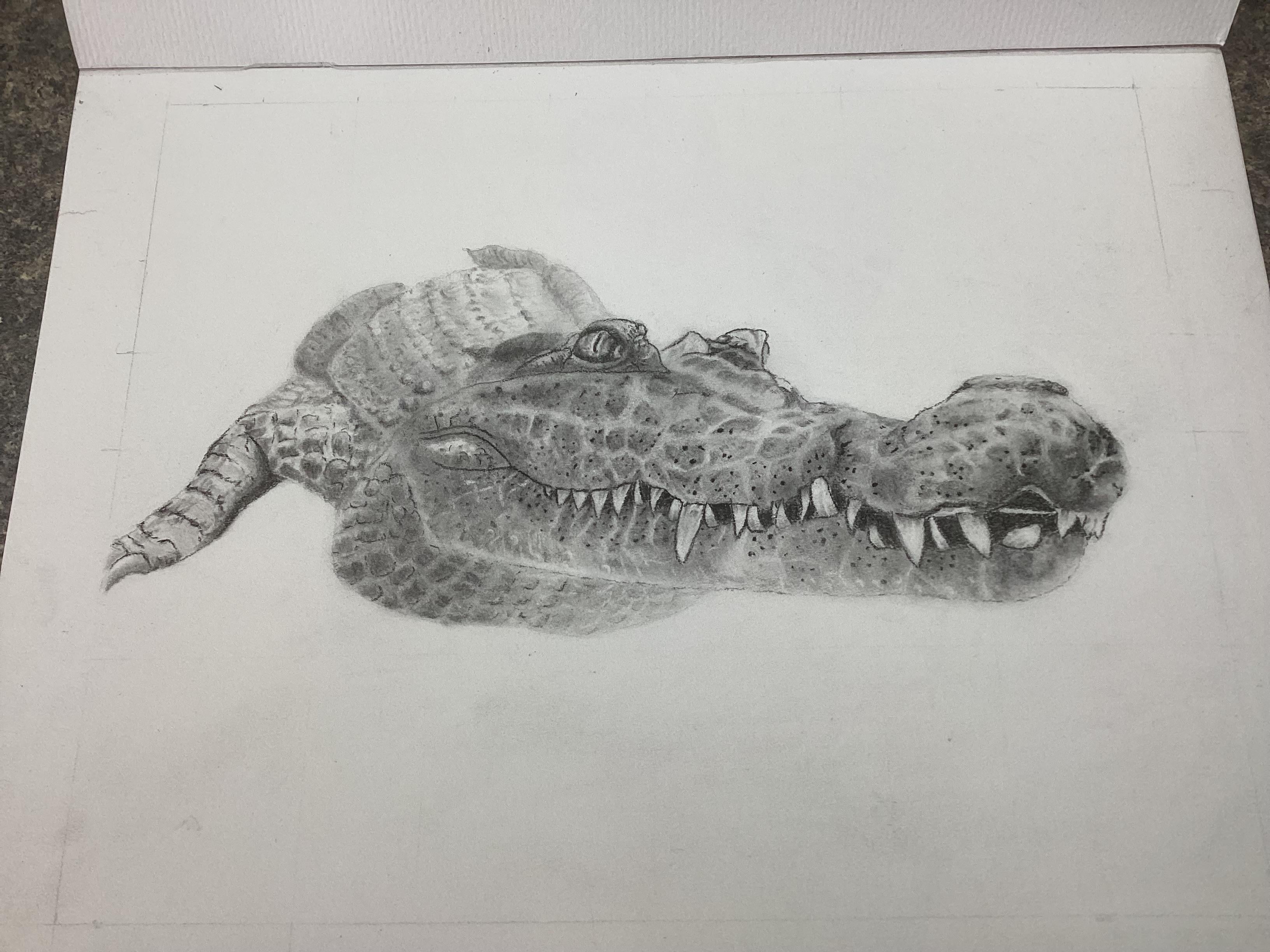 more-projects-from-class-img
