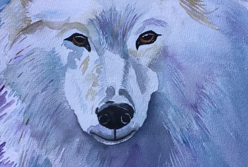 Wolf wild beauty