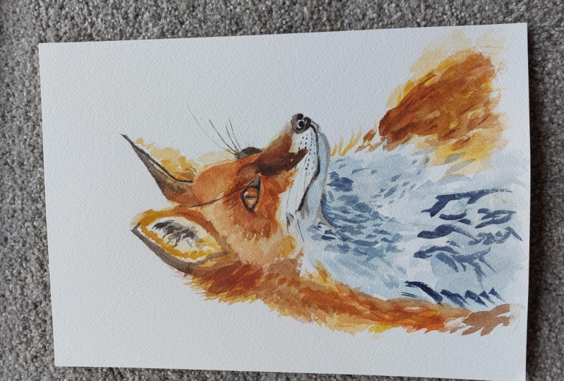 Mr fox