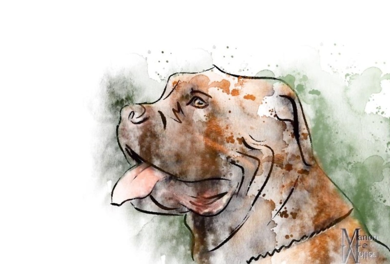 Pup