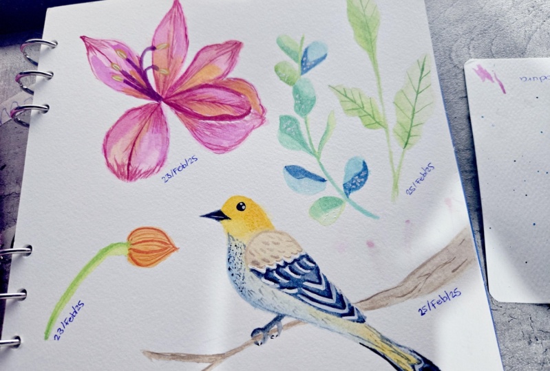Ilustraciones botanicas