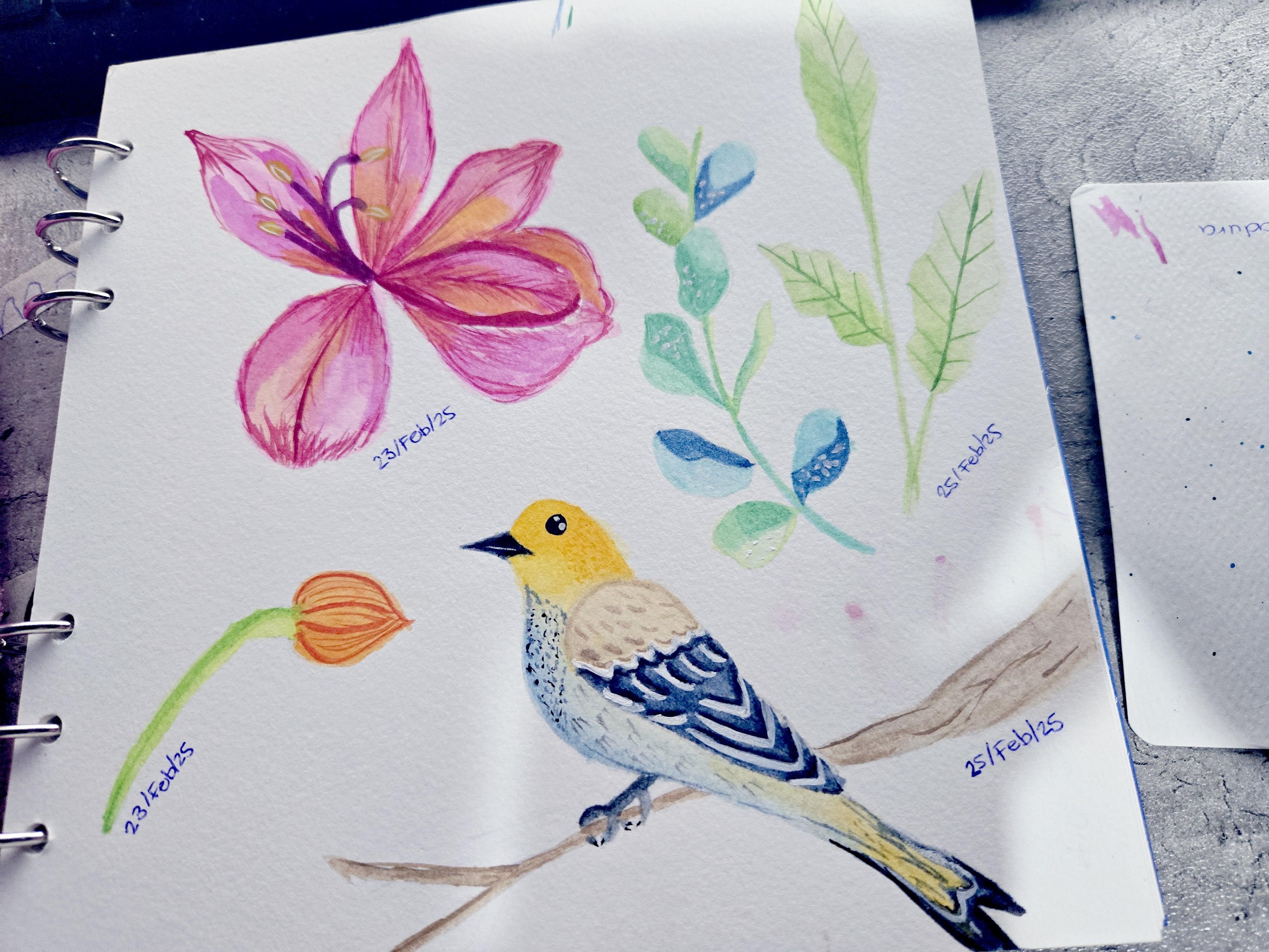 more-projects-from-class-img
