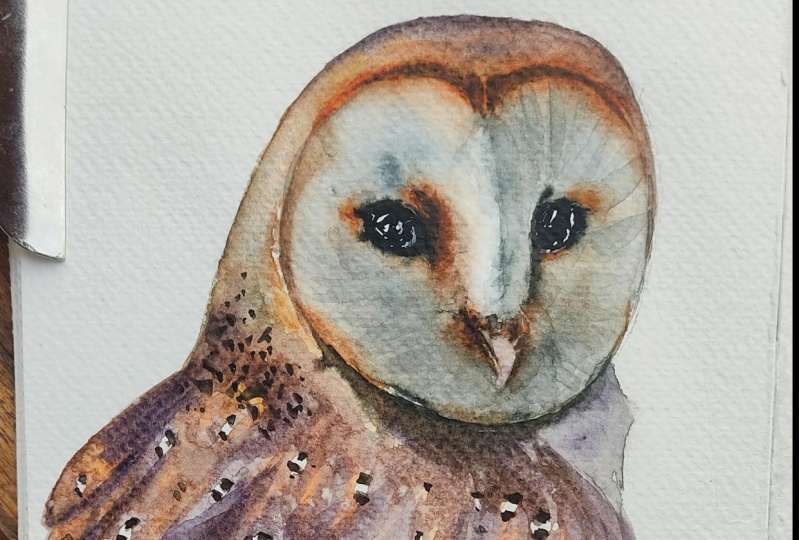 Watercolor Owl