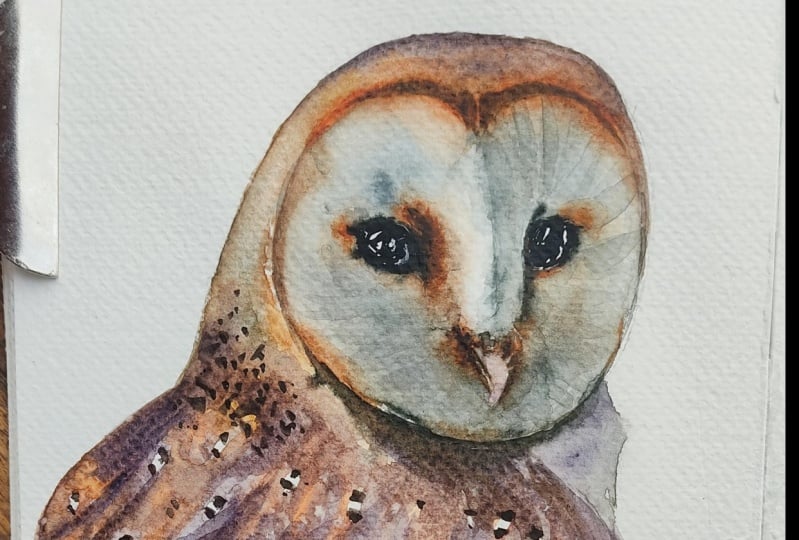 Watercolor Owl