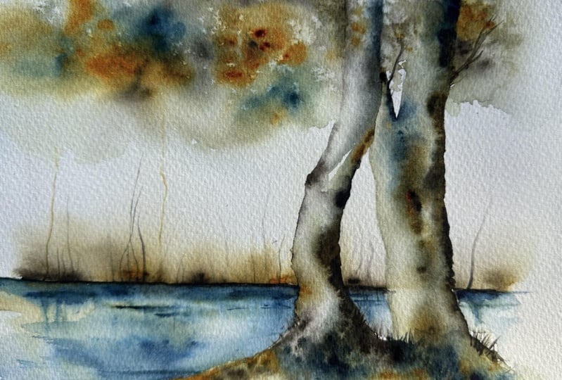 Freeflow Landscapes with Jane