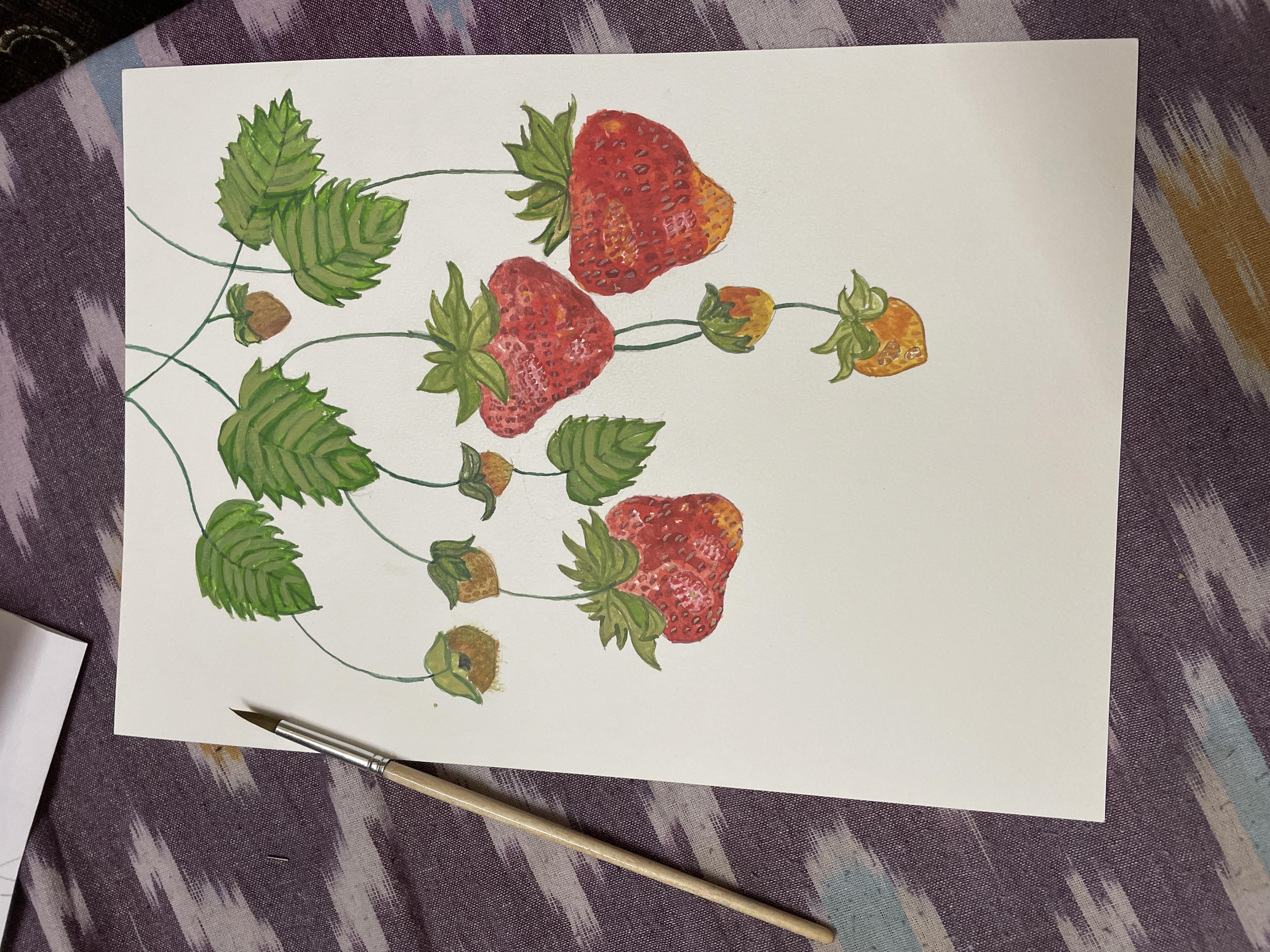more-projects-from-class-img