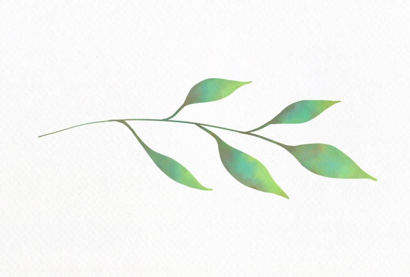 Botanical Watercolor