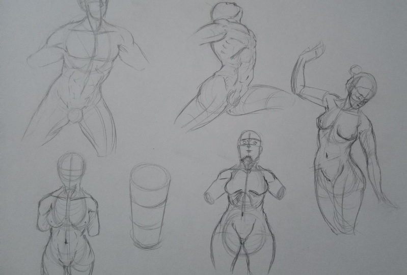 Drawin the torso