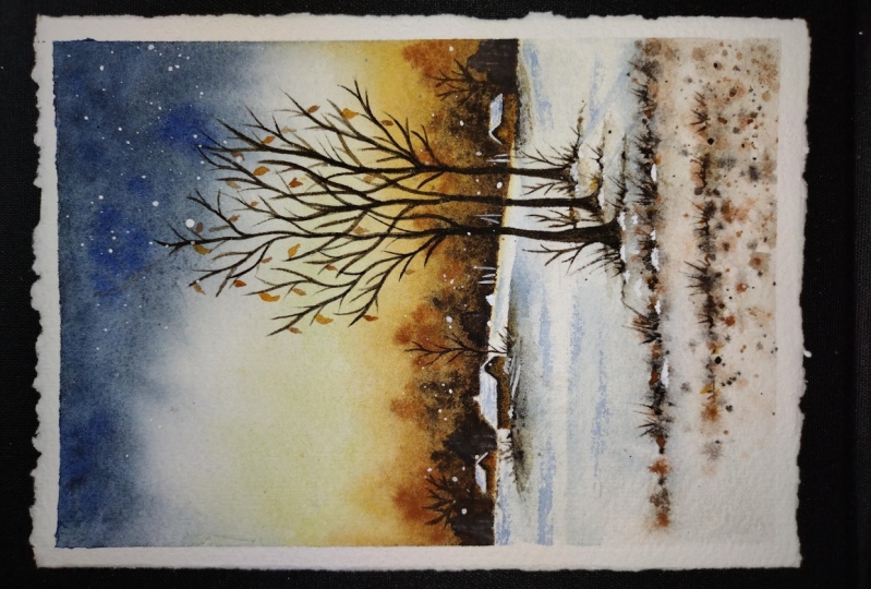 Winter landscape