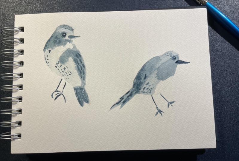 BIRDS