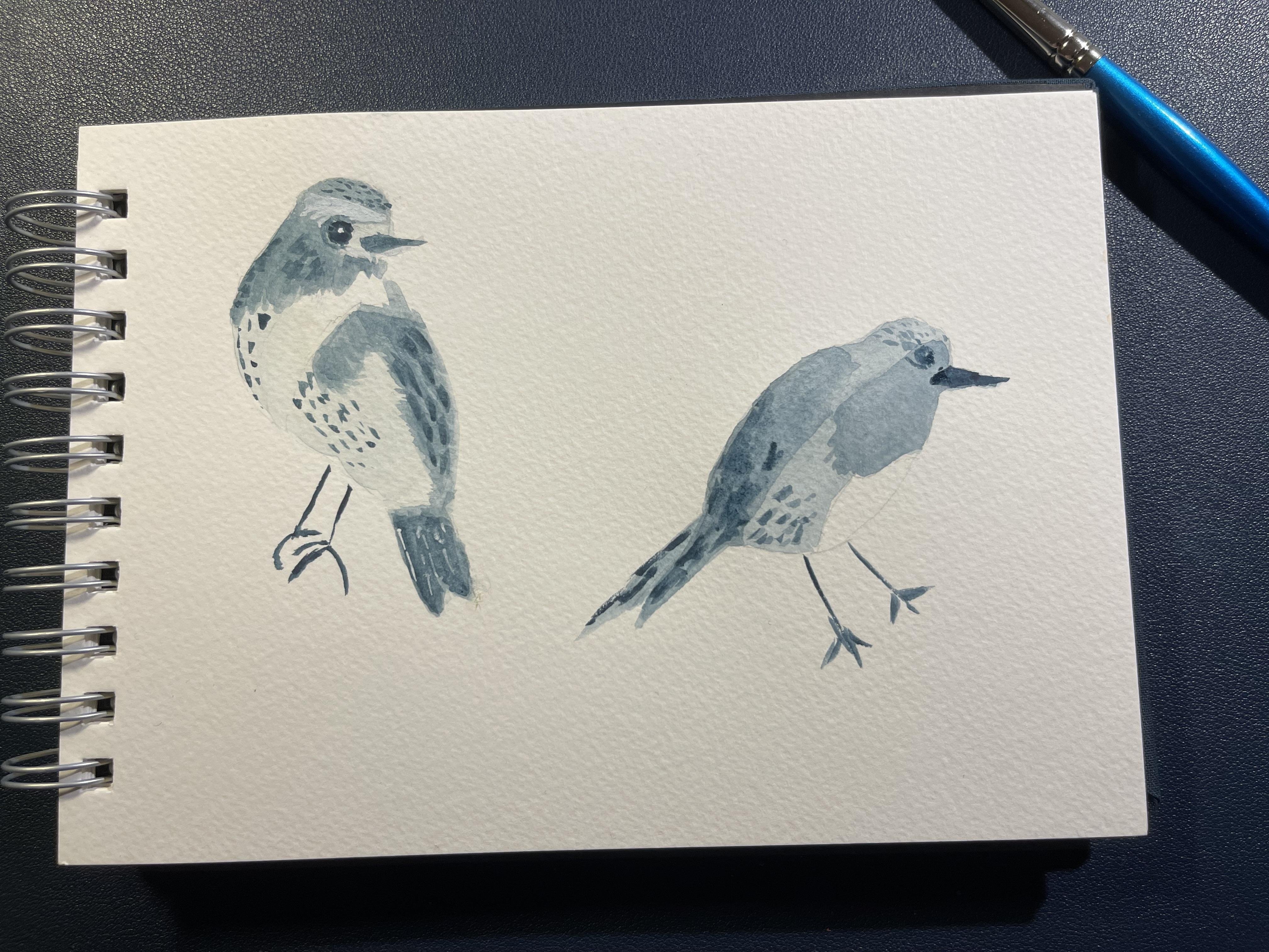 BIRDS