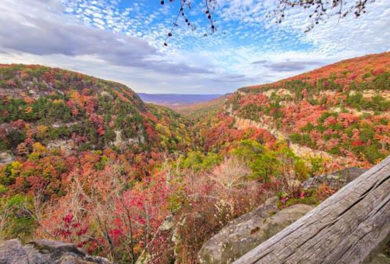 Fall Canyon