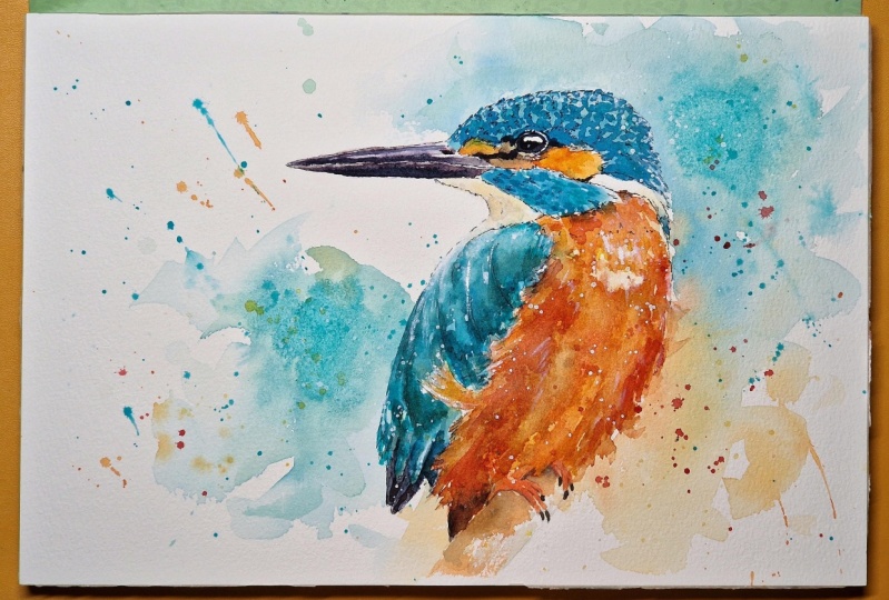 Kingfisher