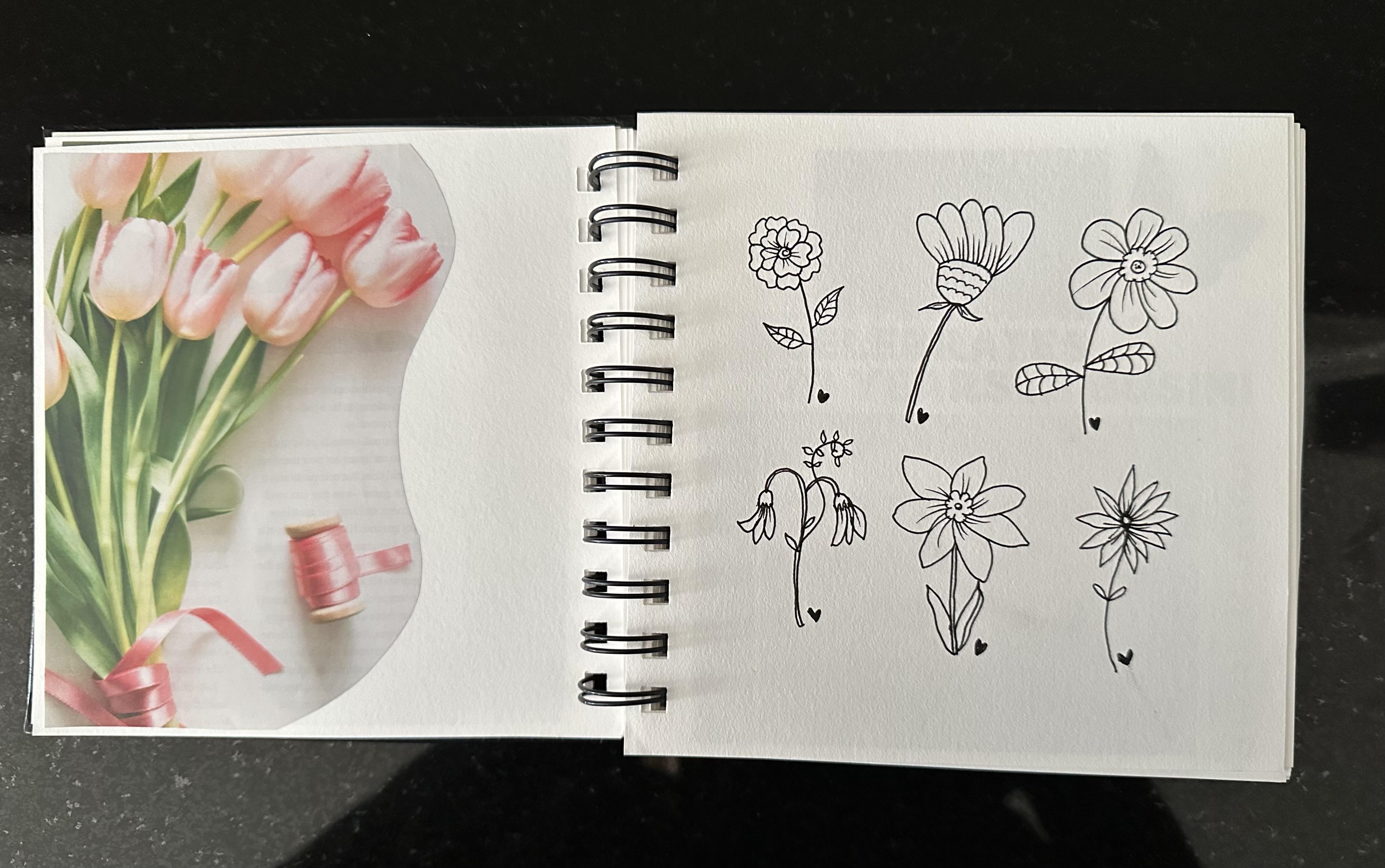 more-projects-from-class-img
