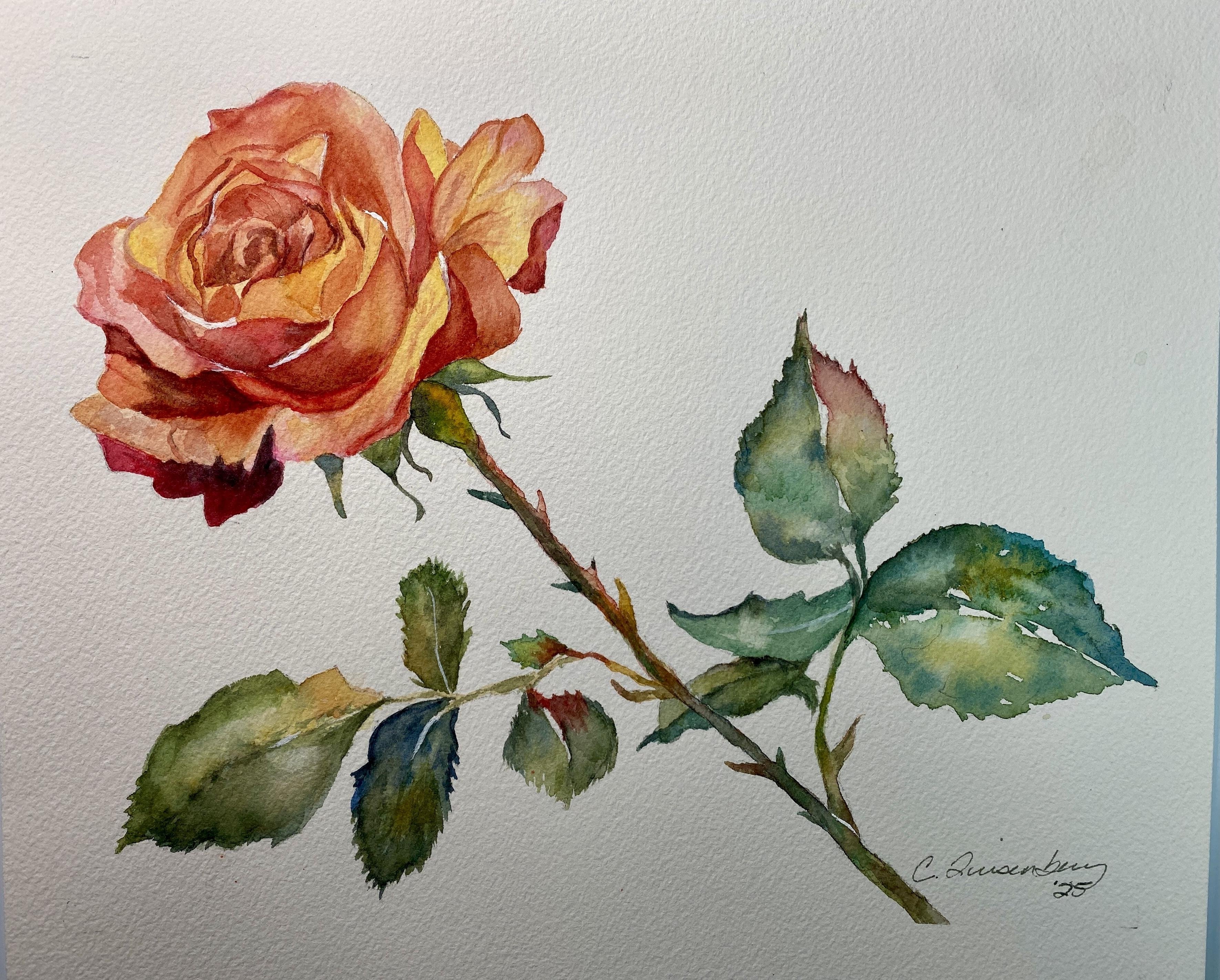 Peachy Rose - student project