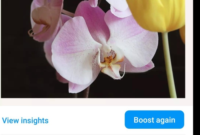 Instagram TOFY ad