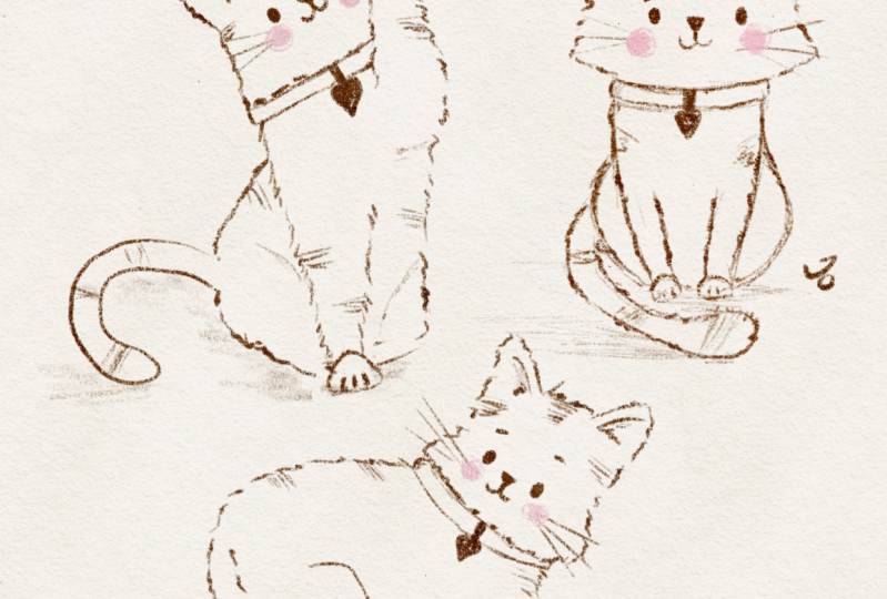Cats