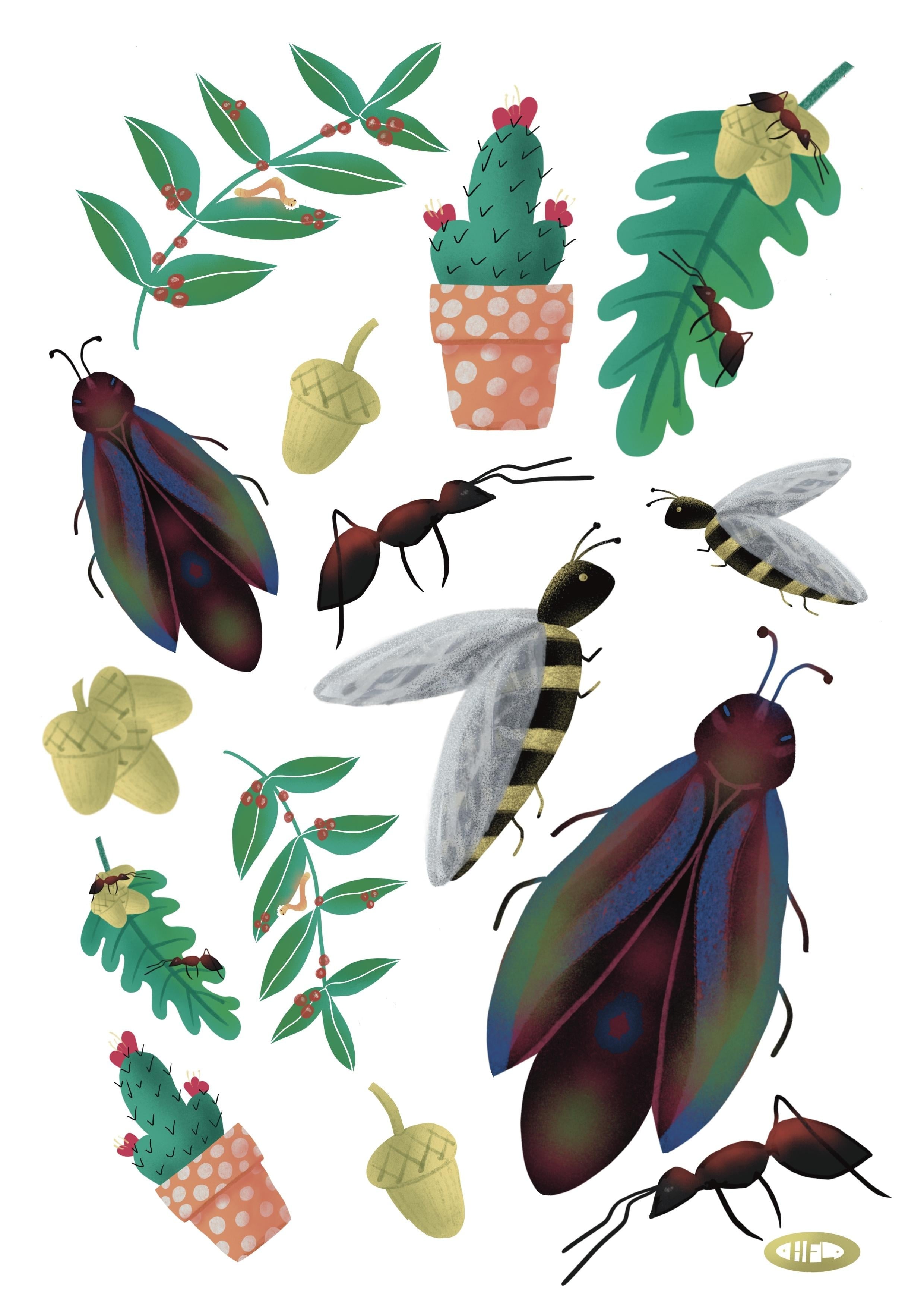 more-projects-from-class-img