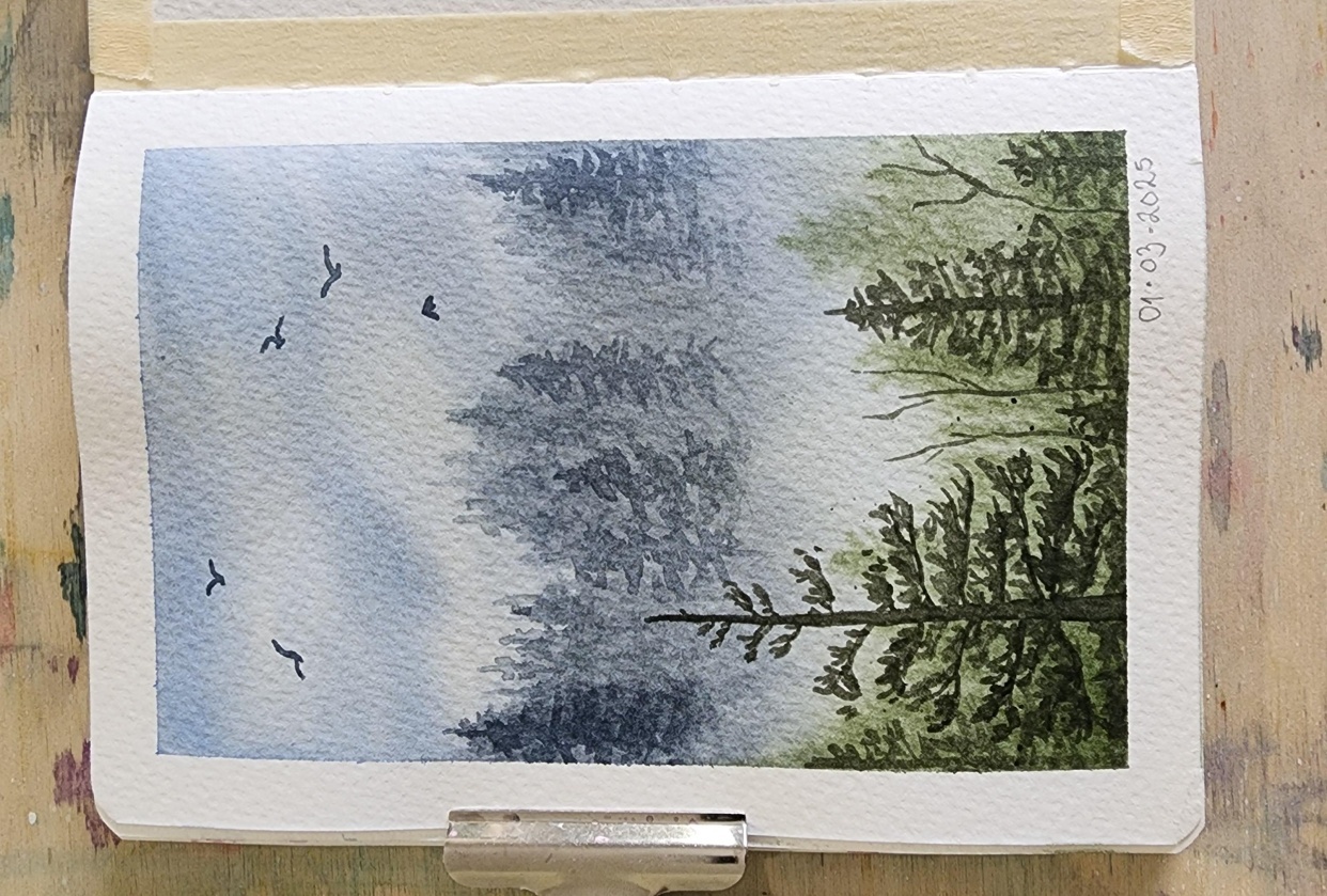 Misty Pines - student project