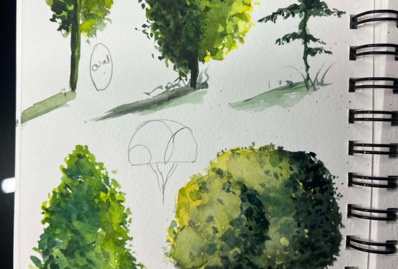 Trees