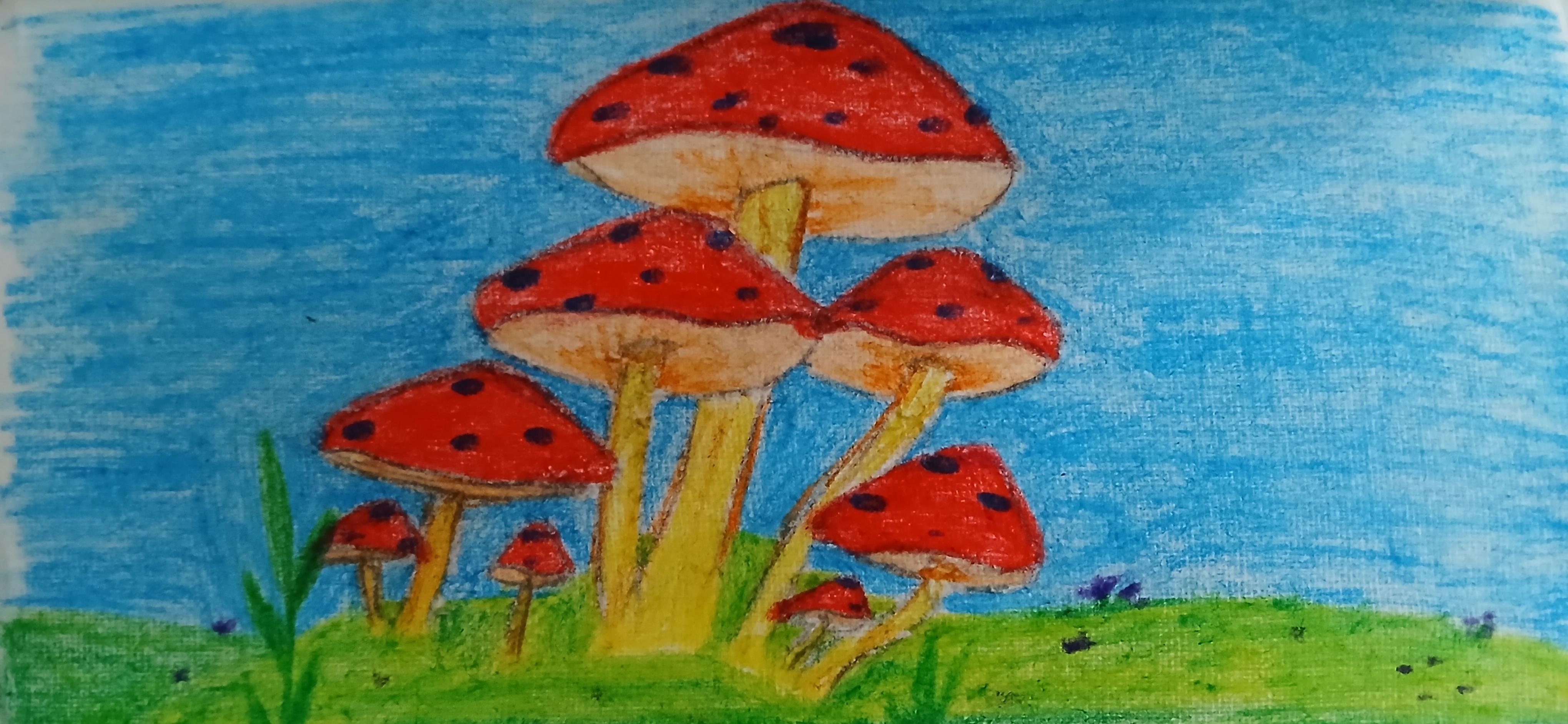 more-projects-from-class-img