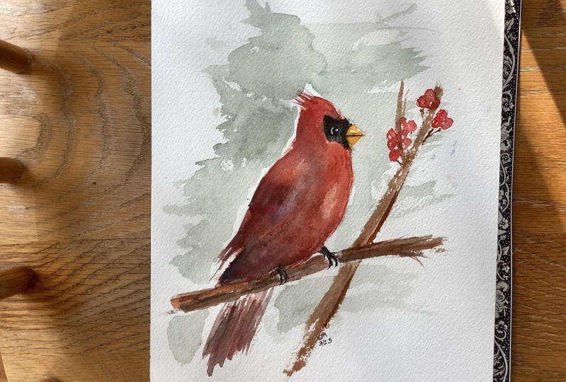 Cardinal, a Katrina Pete tutorial