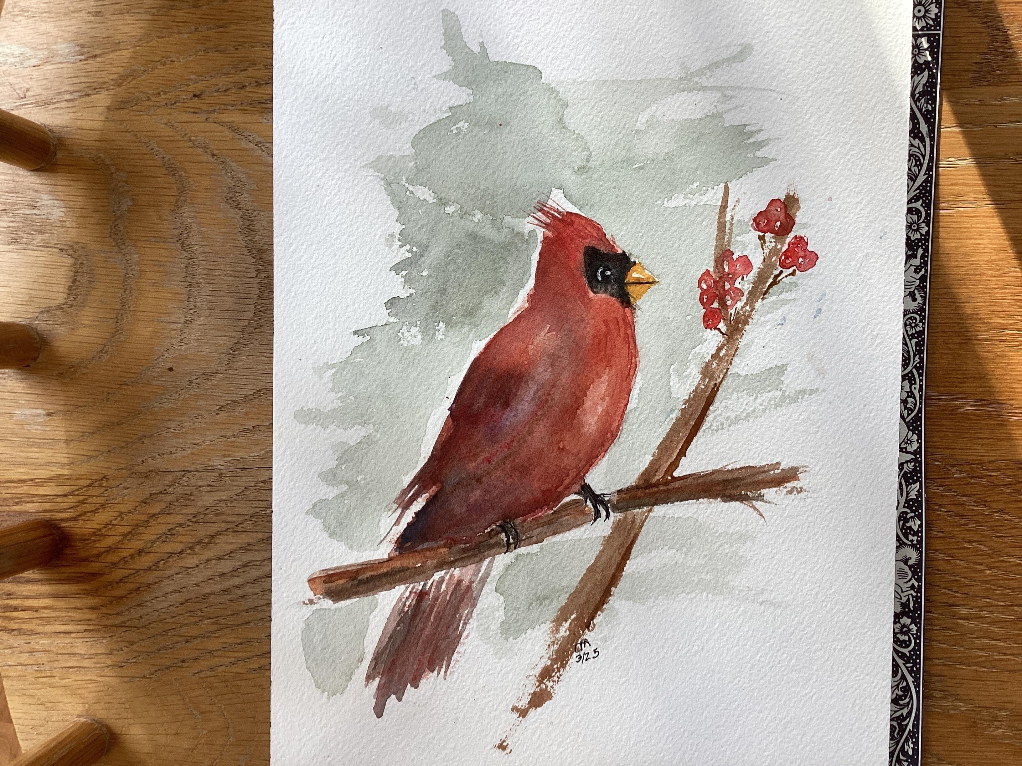 Cardinal, a Katrina Pete tutorial - student project