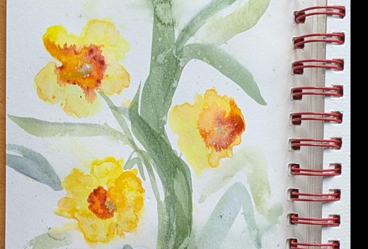Kellie's Daffy Daffies - student project