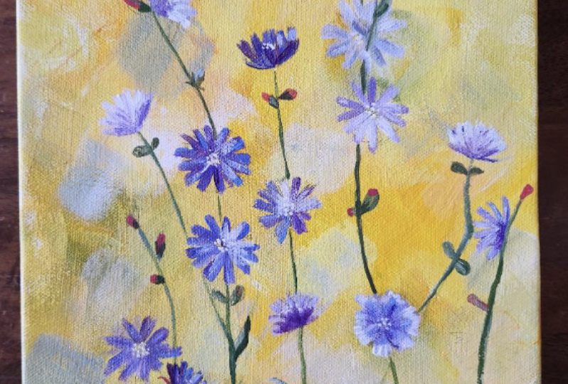 chickory