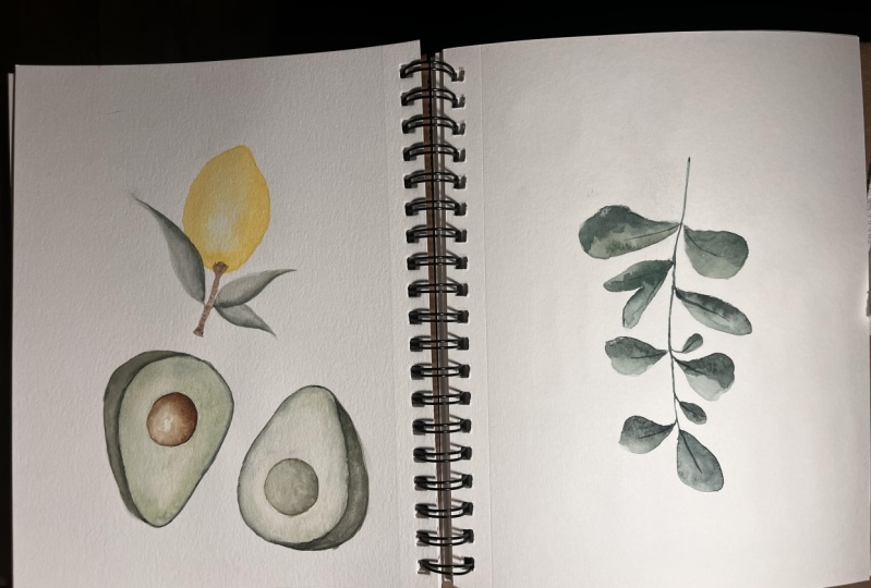 Watercolor Monstera