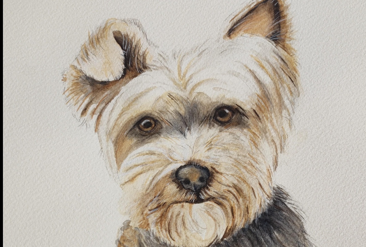 Watercolour Yorkie - a class with Mary Evelyn Tucker - student project