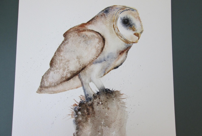 Perching Barn Owl
