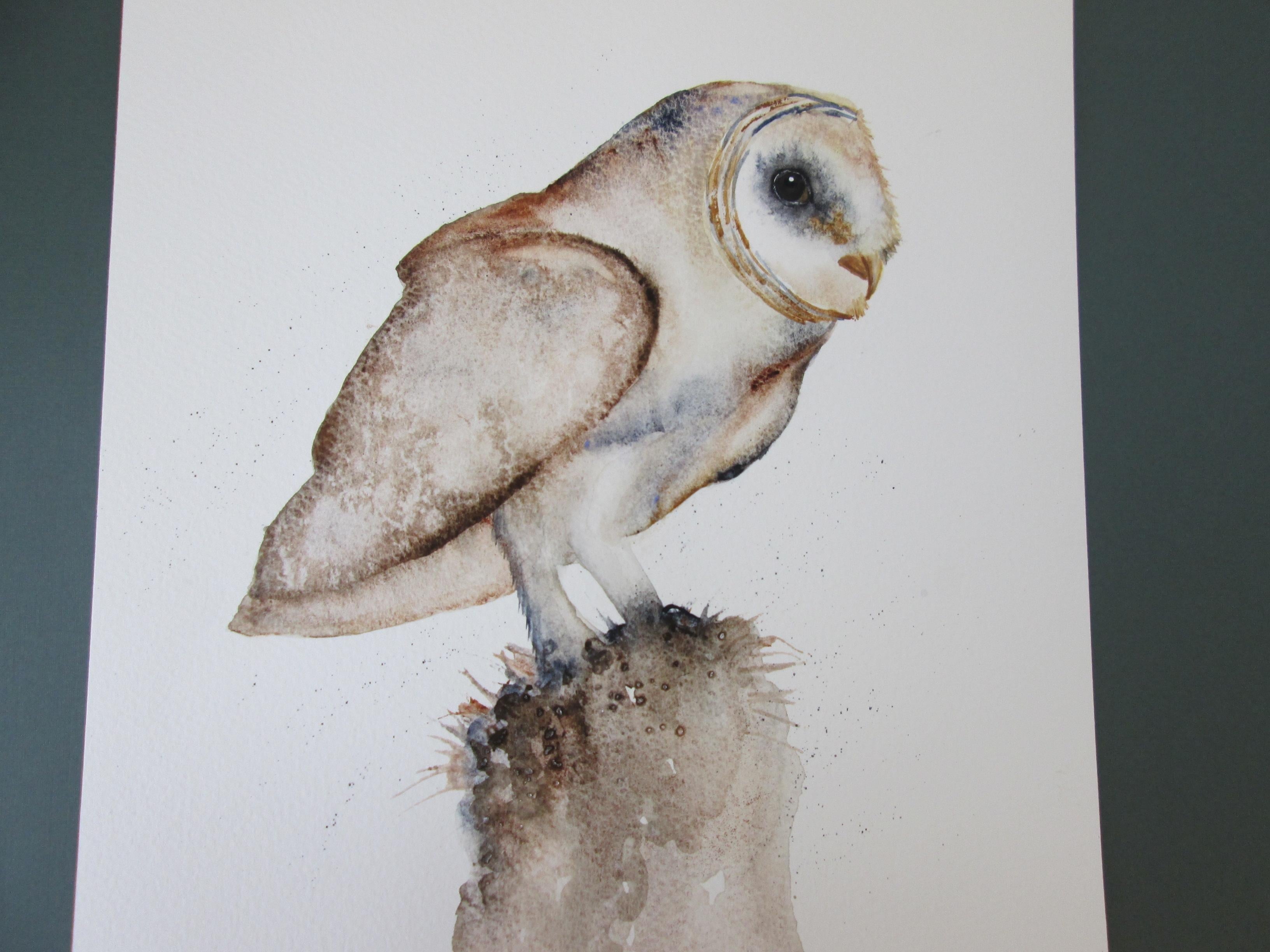 Perching Barn Owl - student project