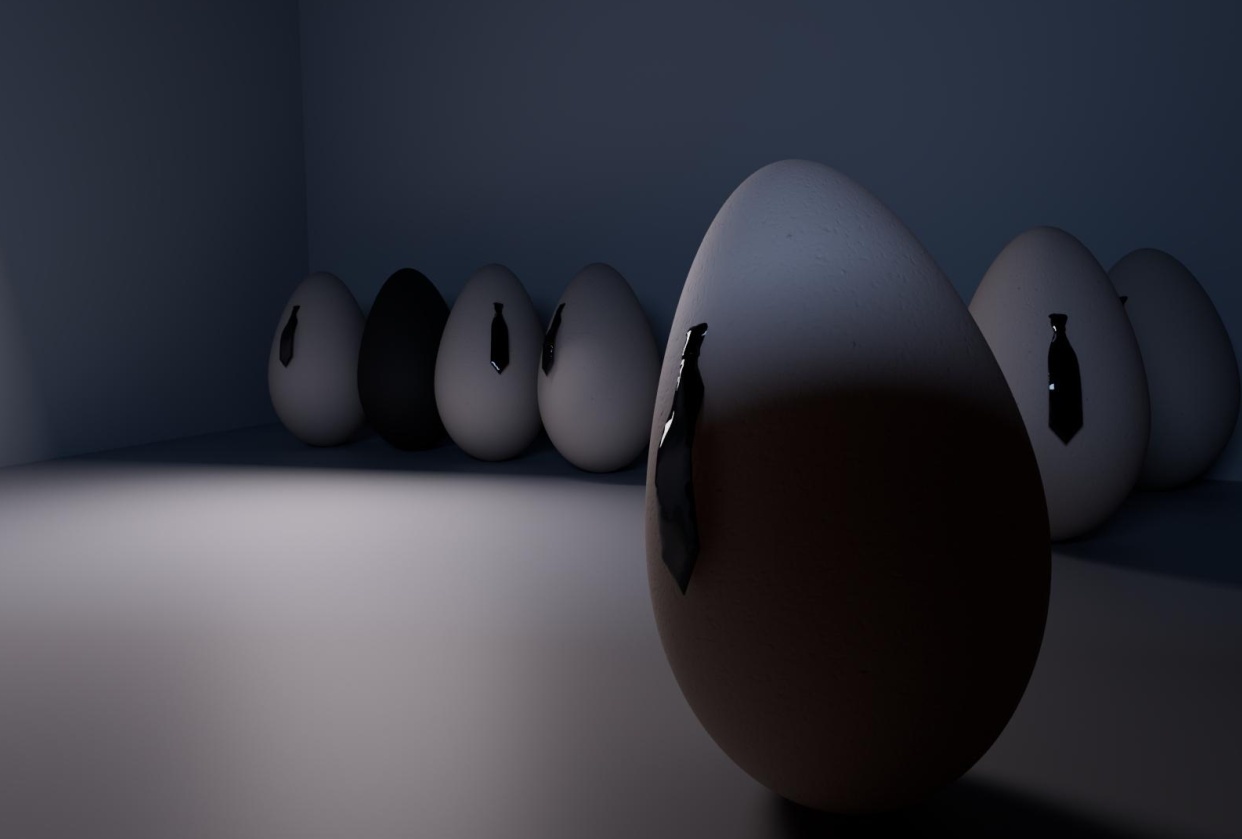The basics : eggs - student project