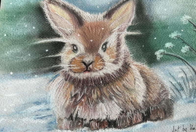 Little bunnylove