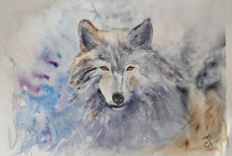 Wolf - Will Elliston