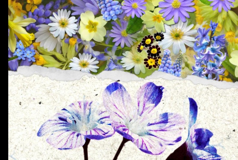 Torn paper effects