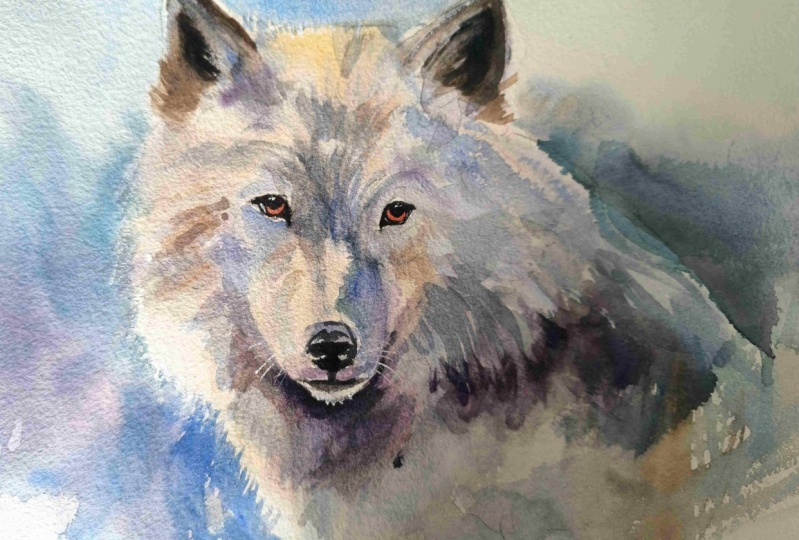 wolf
