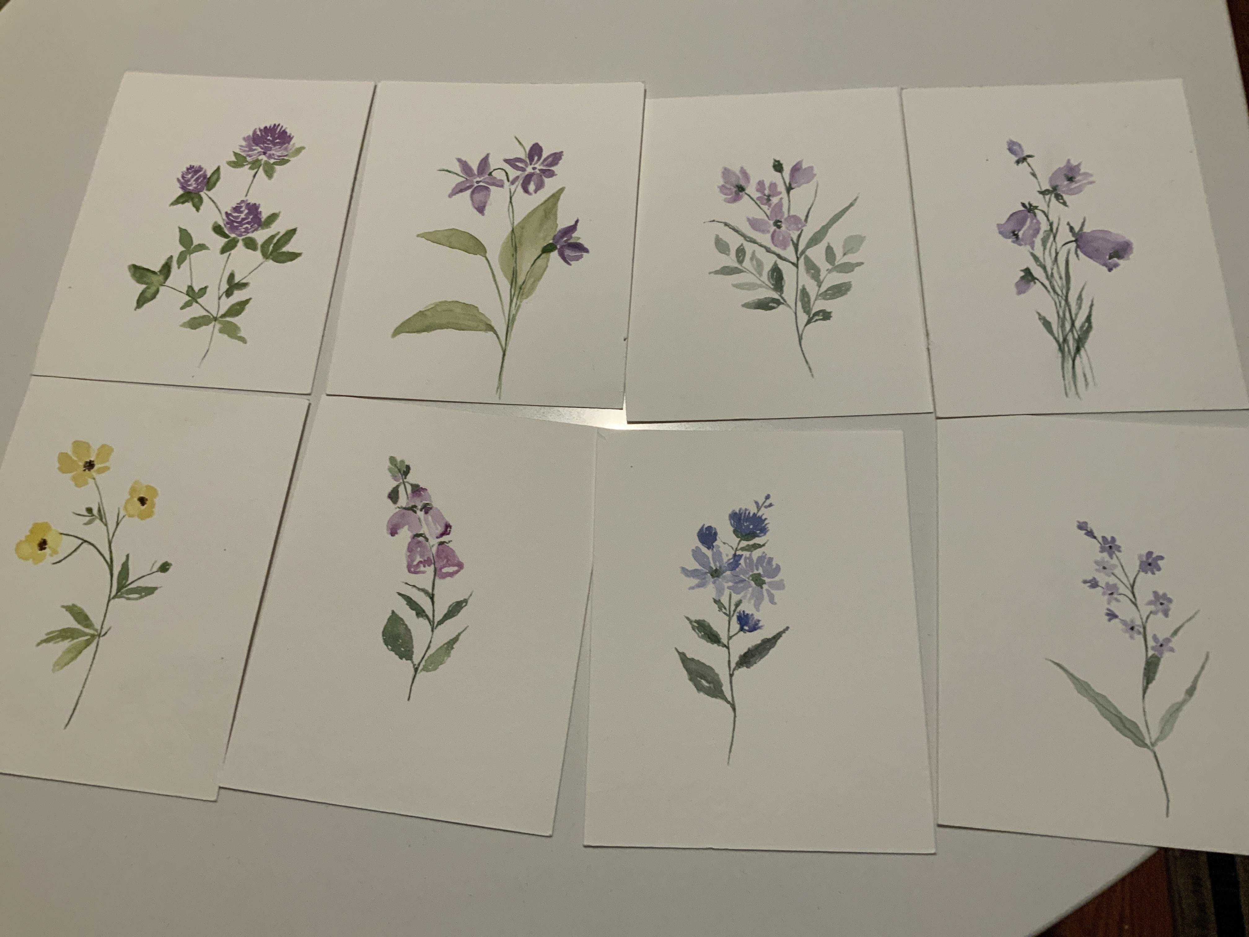 Flowers - student project