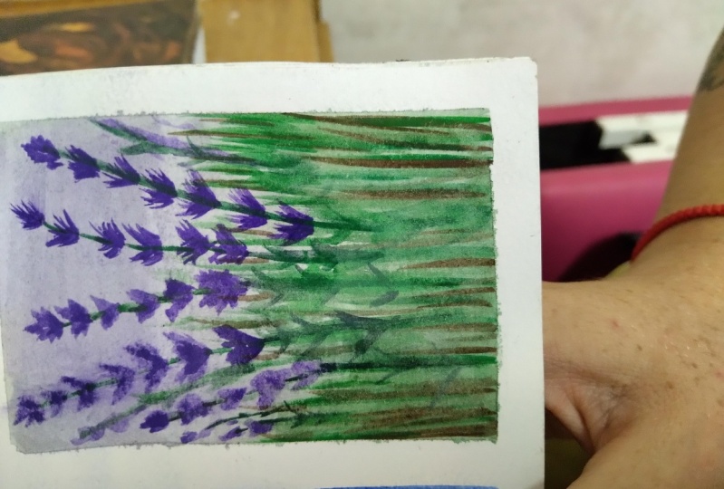lavanda