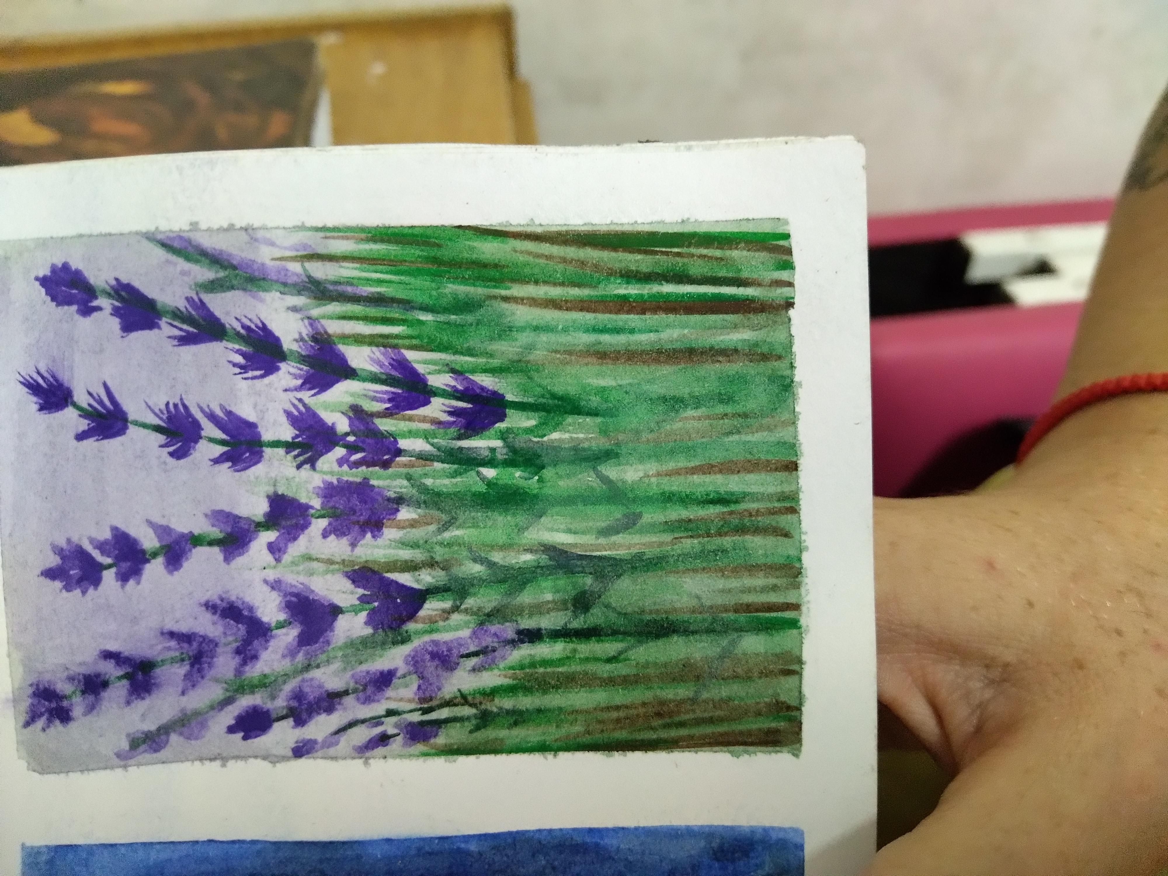 lavanda - student project
