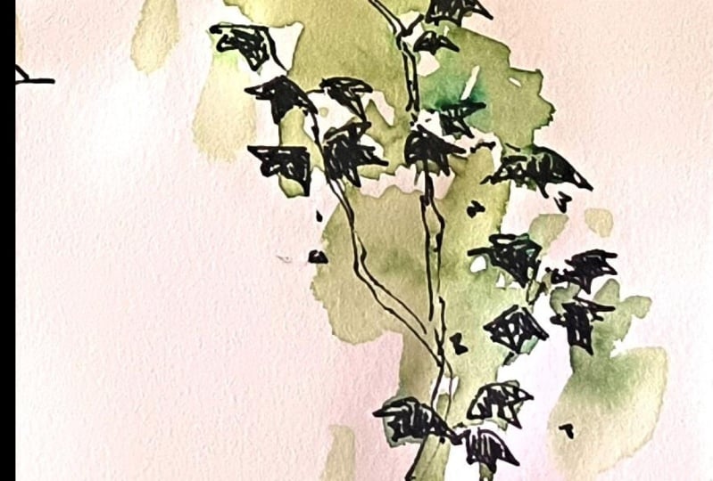 Quick sketch - a climbing vine!
