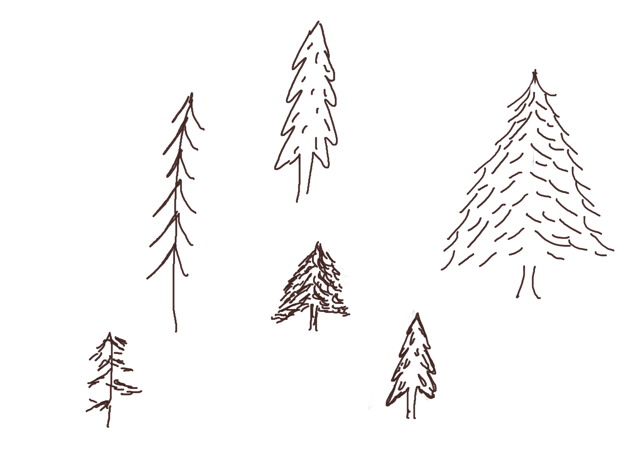 more-projects-from-class-img