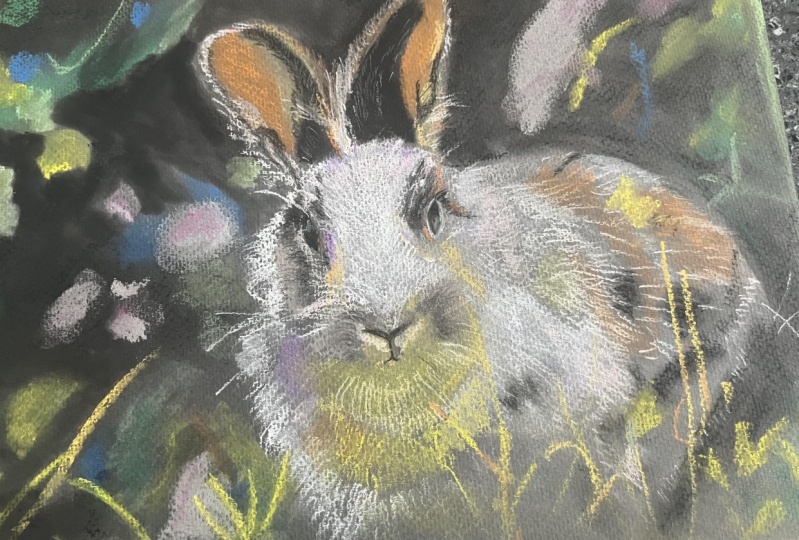 Bunny wild
