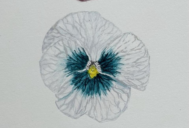 Trio of Pansies - Interpretation