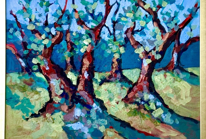 Olive Grove