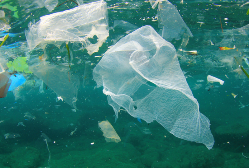 Wake up and smell the garbage!
